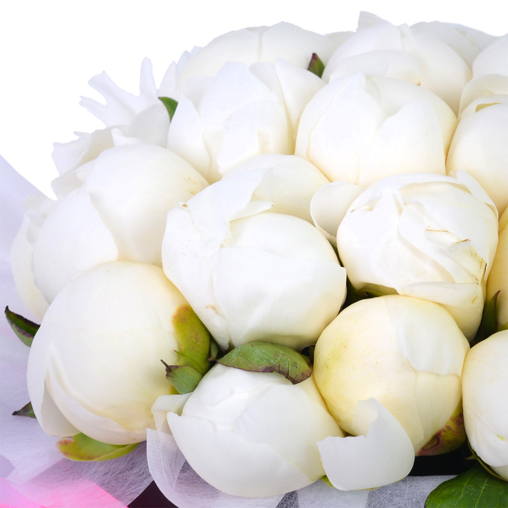 Букет из 35 белых пионов в черной шляпной коробке