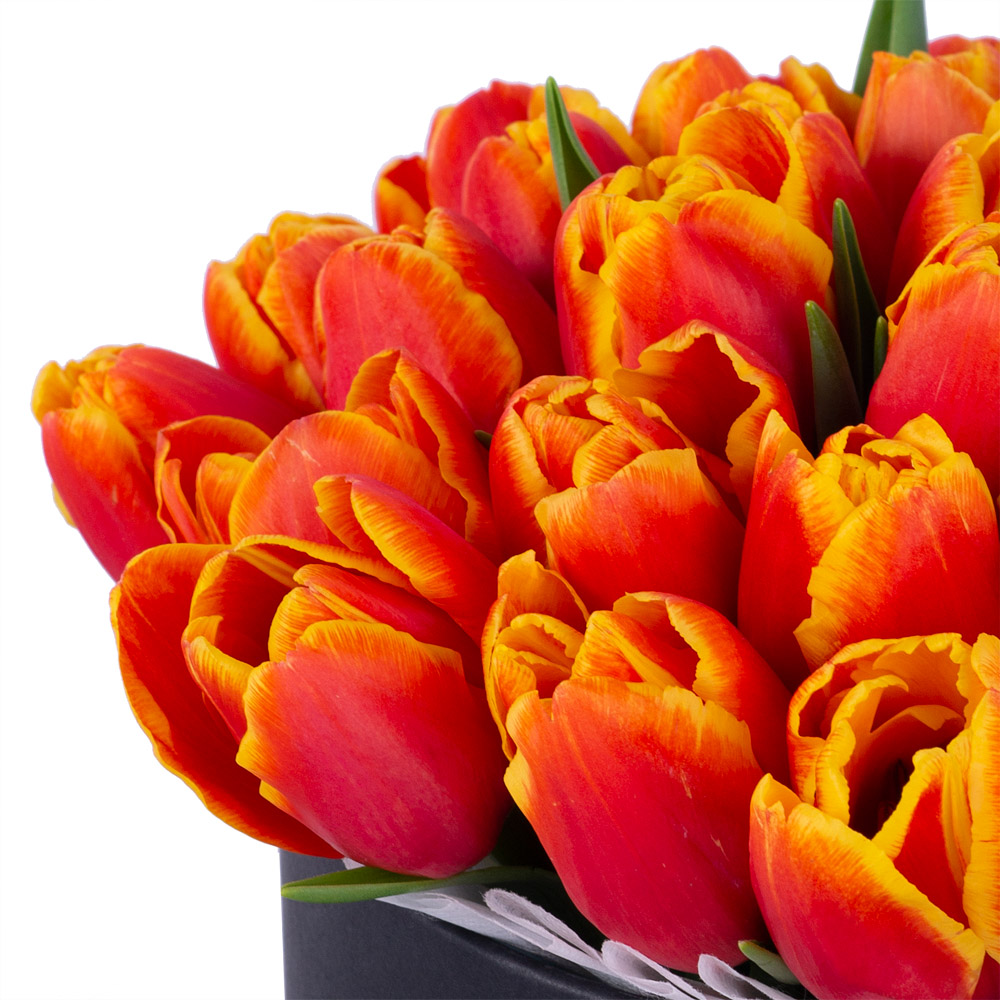 35 огненных тюльпан в черной шляпной коробке