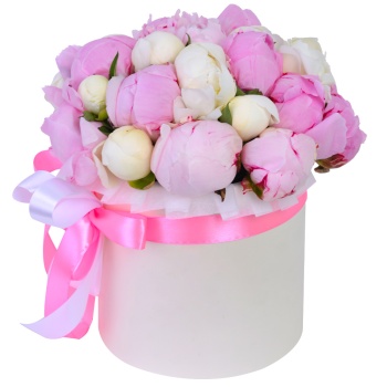 Букет из 25 разноцветных пионов в кремовой шляпной коробке