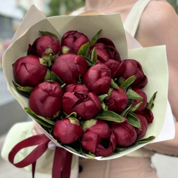 Букет из 15 бордовых пионов