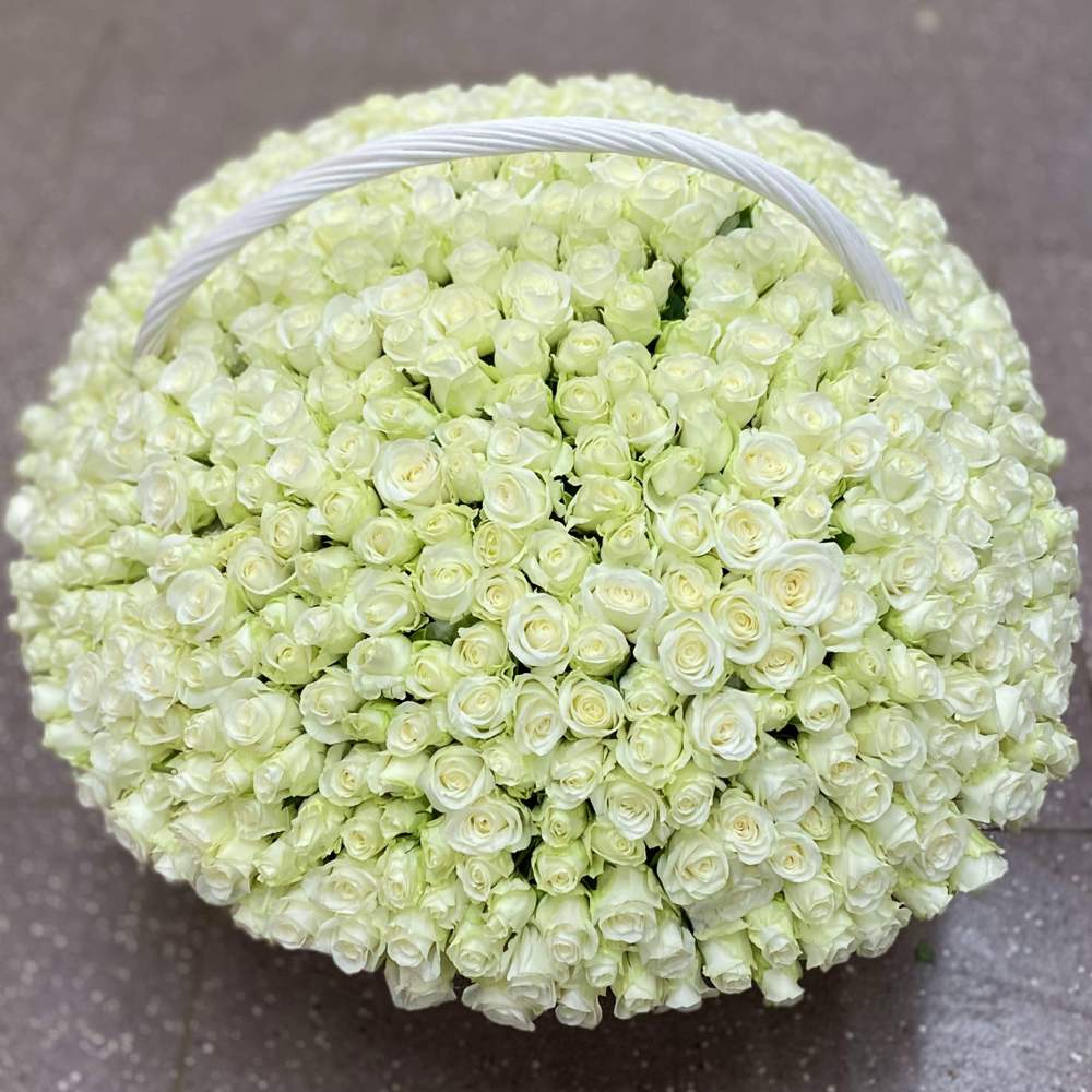 501 белая роза в корзине