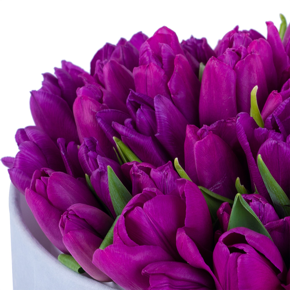 51 фиолетовый тюльпан в серой бархатной шляпной коробке