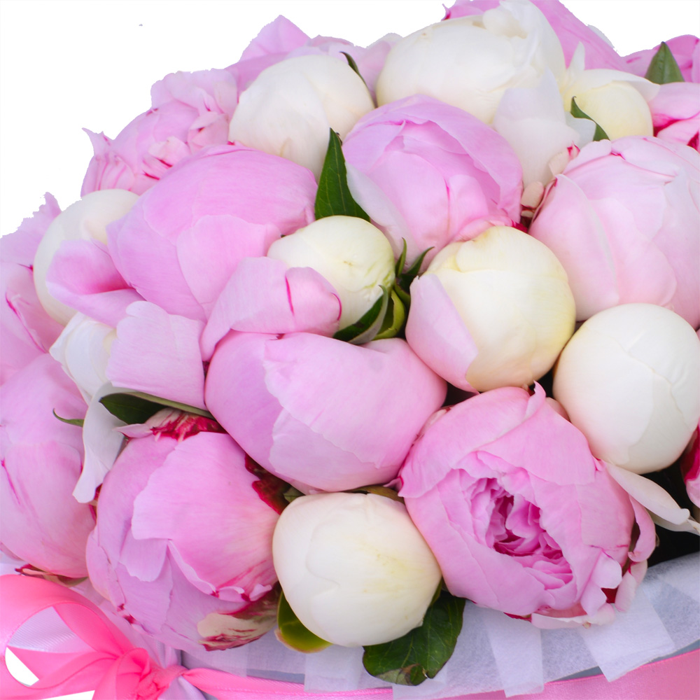 Букет из 35 разноцветных пионов в серой бархатной шляпной коробке