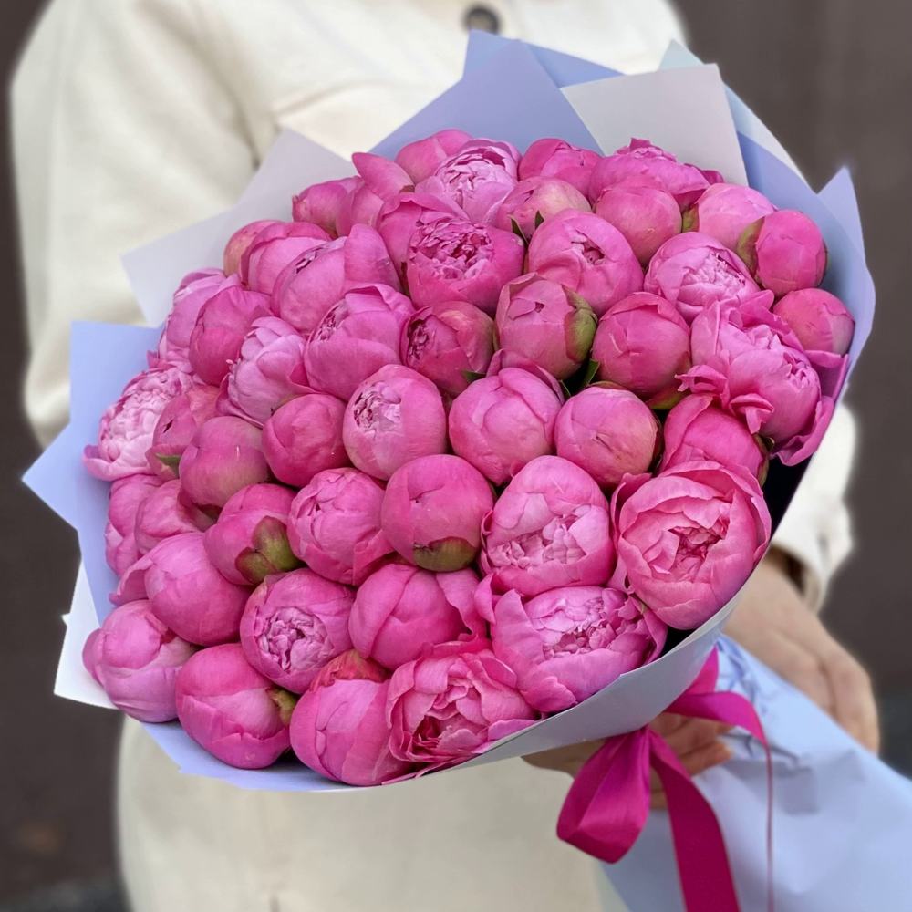 Букет из 51 розового пиона