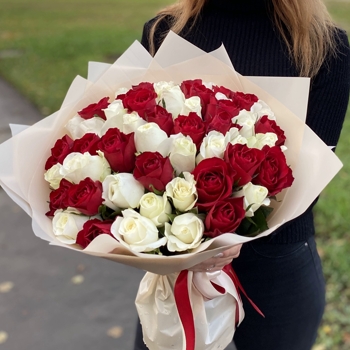 51 роза белого и красного цвета 40 см