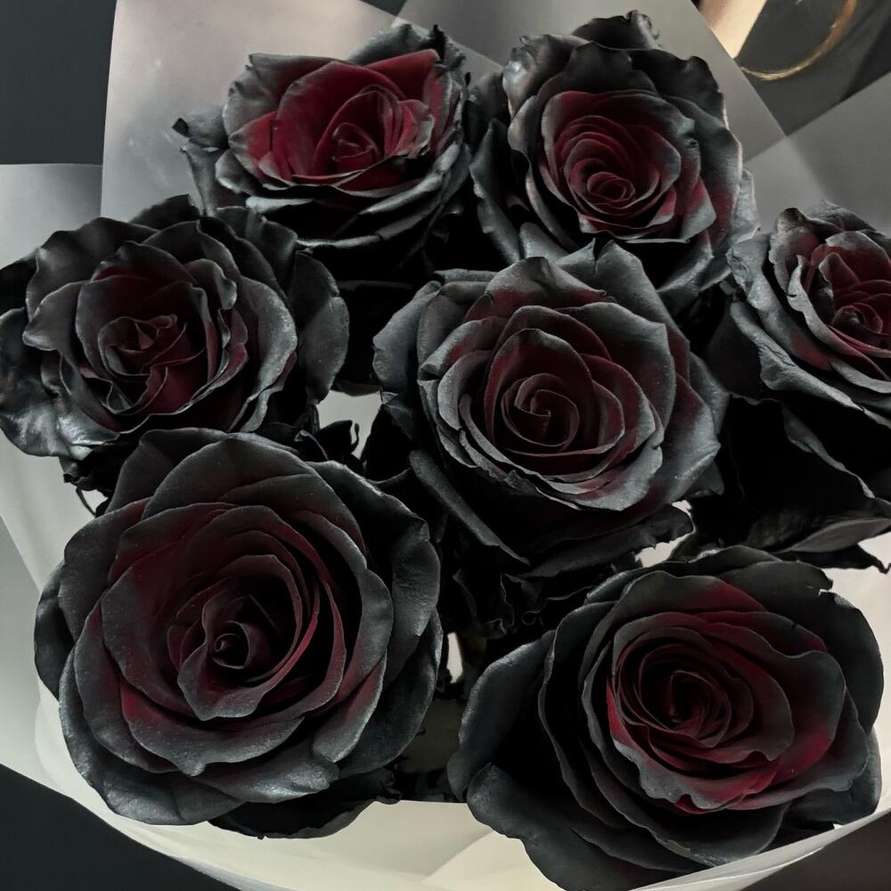 Букет из 7 чёрных роз Эквадор