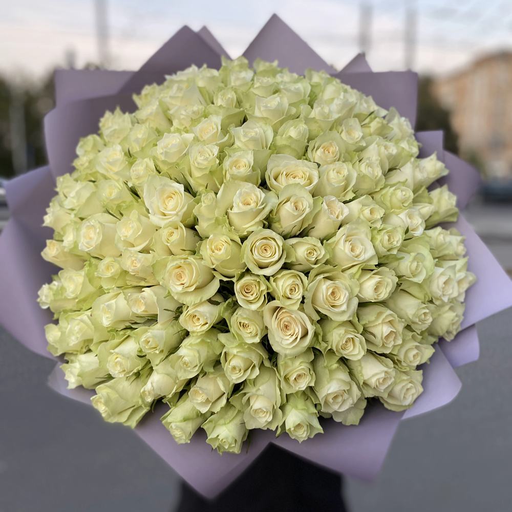 Акция! 101 белая роза 40 см