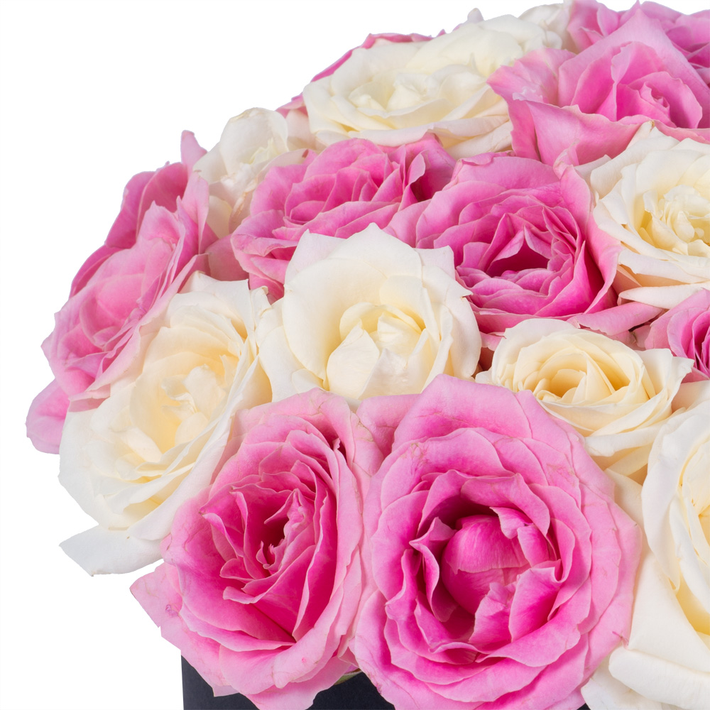 25 разноцветных роз premium в черной шляпной коробке