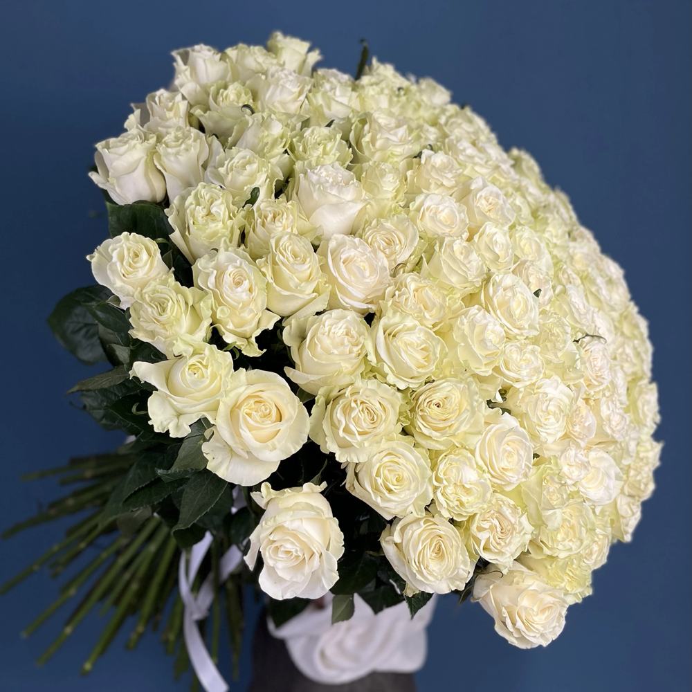 Букет из 101 белой розы Эквадор Премиум 70 см.