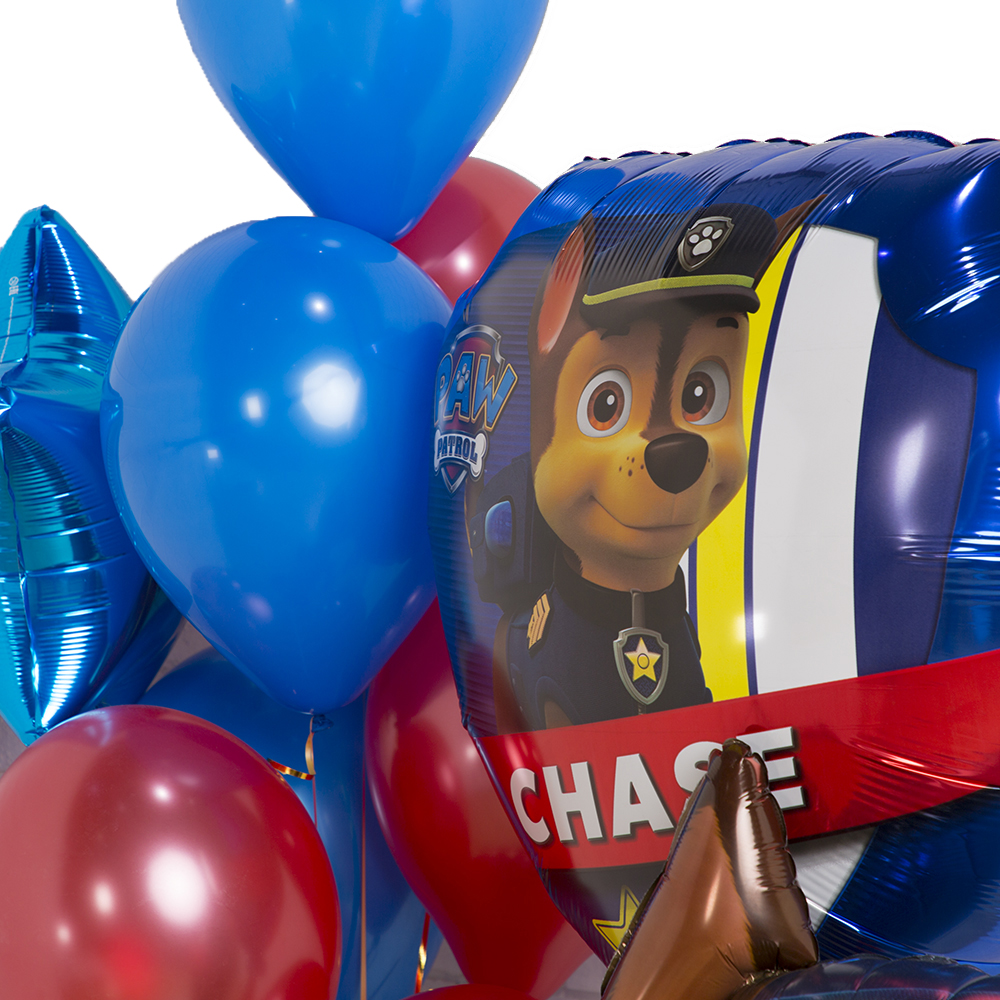 Фольгированный шар Гонщик Щенячий патруль