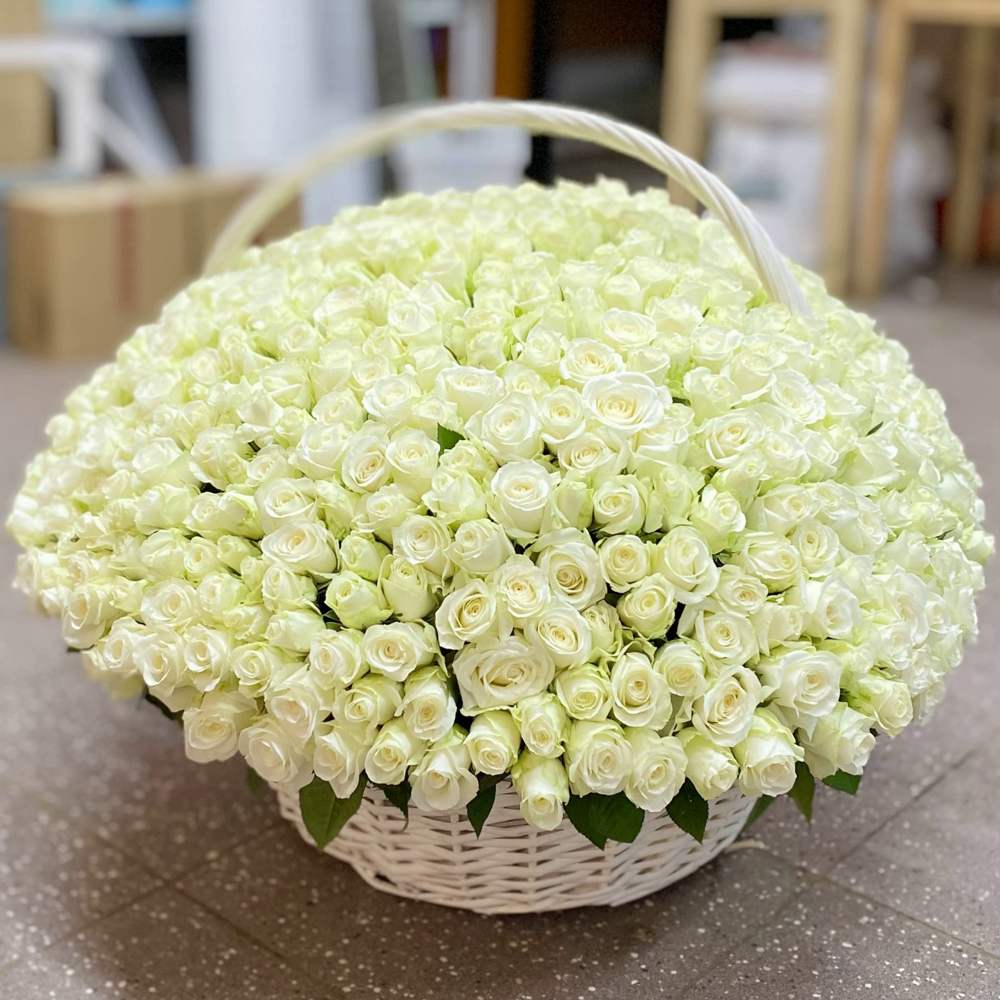 501 белая роза в корзине