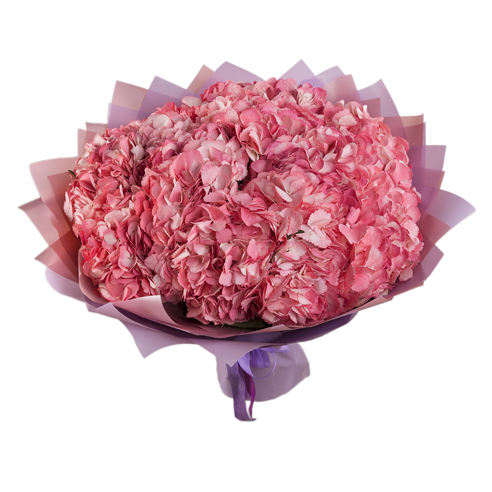 Букет из 15 розовых гортензий