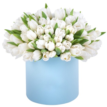 101 белый тюльпан в голубой шляпной коробке