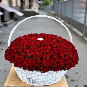 Красный