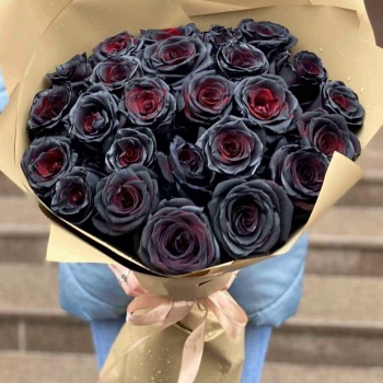 Букет из 25 черных роз