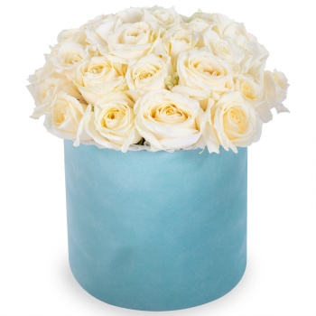 Букет из 35 белых роз premium в зеленой бархатной шляпной коробке