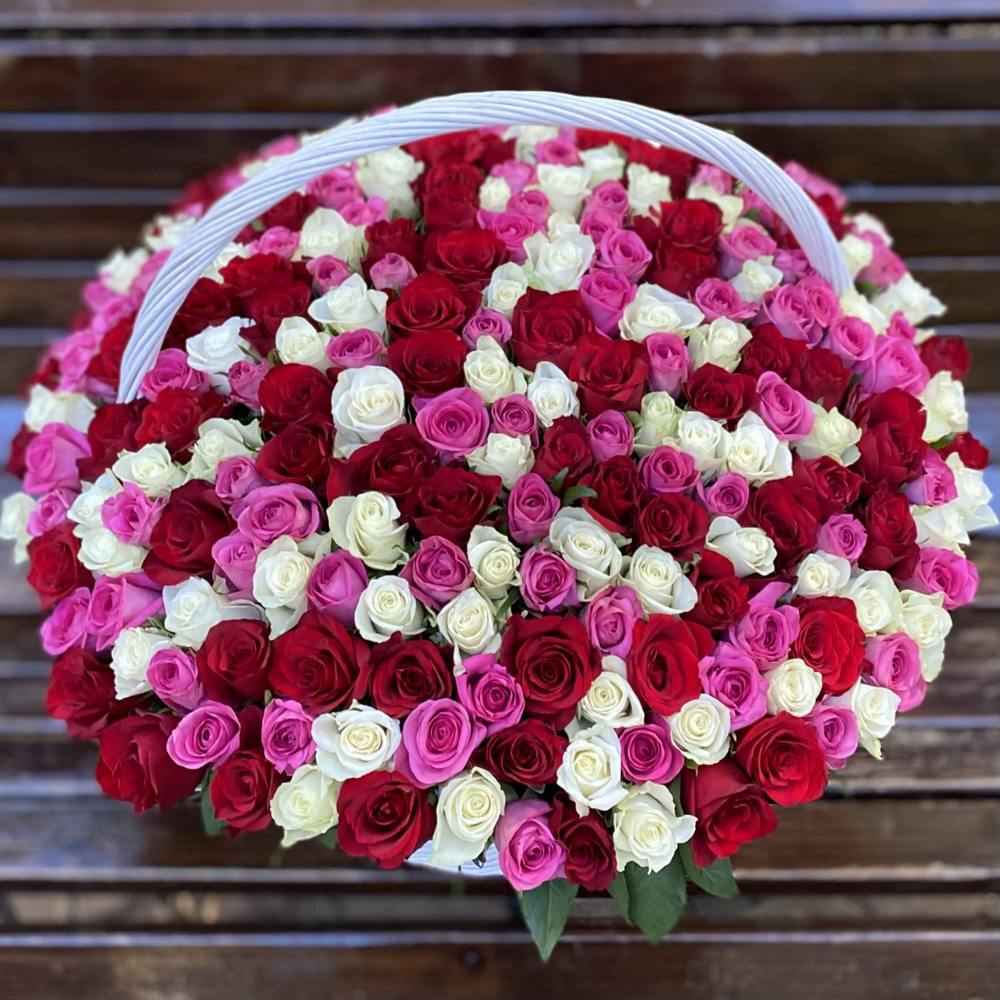 301 роза Яркий микс в корзине