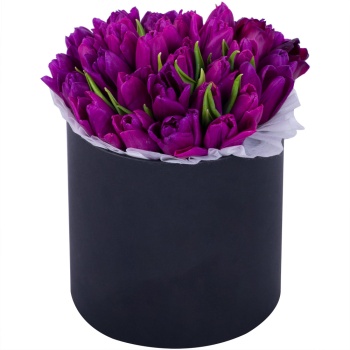 Фиолетовый