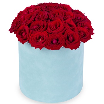 25 роз premium в бархатной шляпной коробке