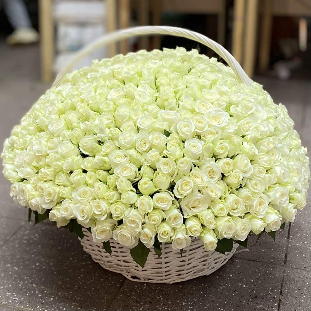 501 белая роза в корзине