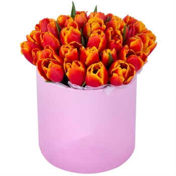 35 огненных тюльпан в розовой шляпной коробке