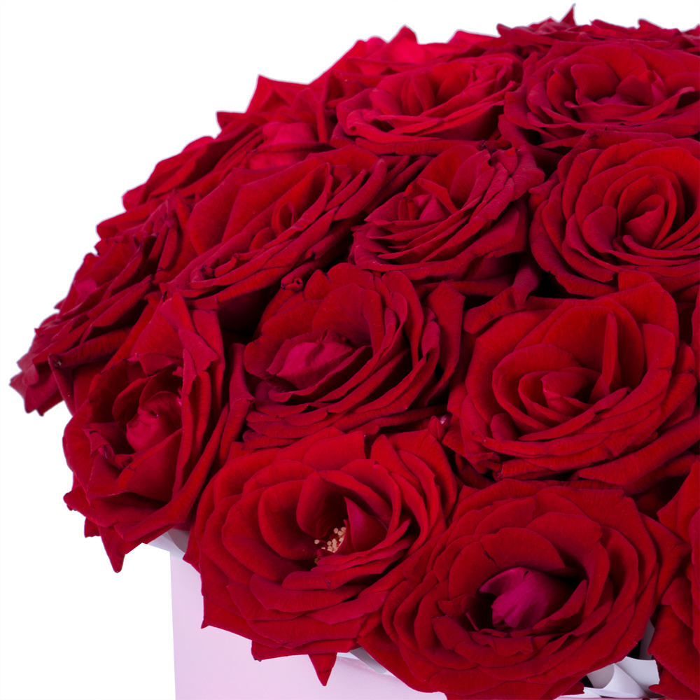 25 роз premium в розовой шляпной коробке