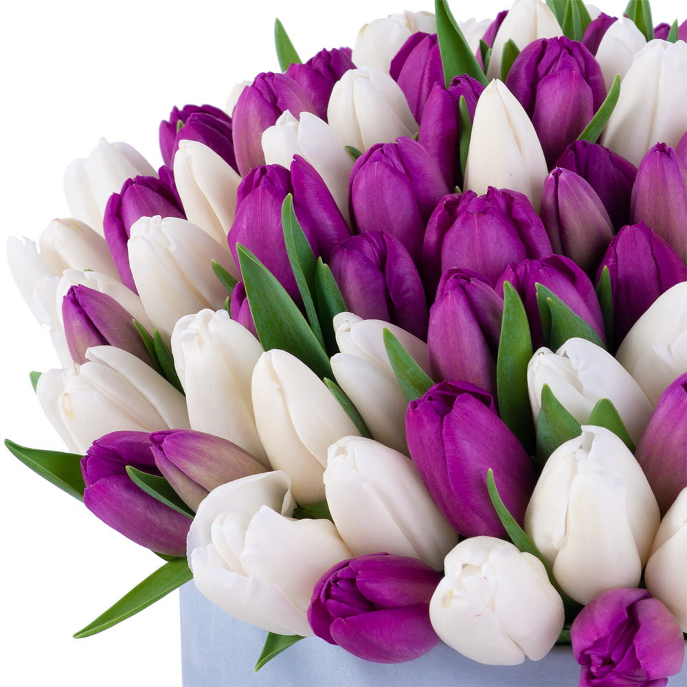 101 разноцветный тюльпан в серой бархатной шляпной коробке