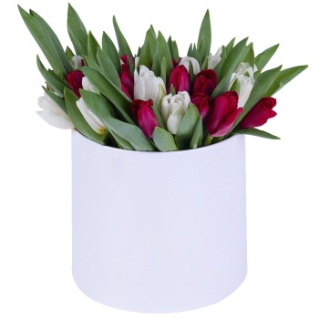 51 Разноцветный тюльпан в белой шляпной коробке