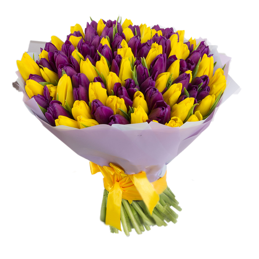 101 разноцветный тюльпан