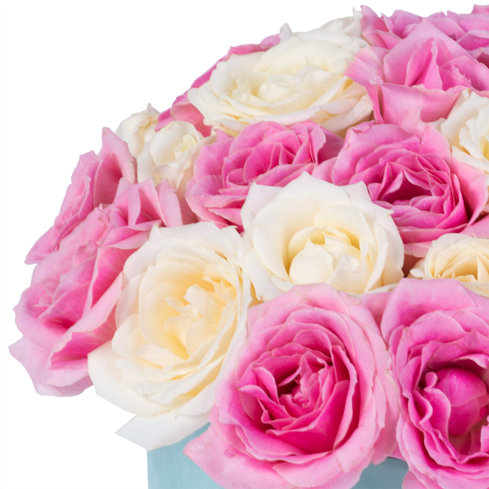 25 разноцветных роз premium в шляпной бархатной коробке