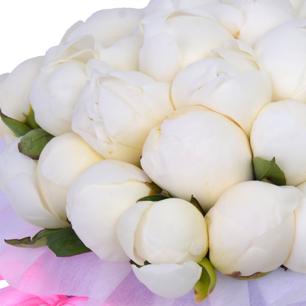 Букет из 35 белых пионов в фиолетовой шляпной коробке