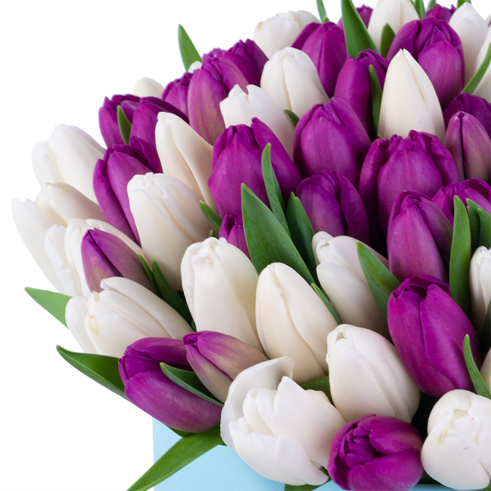 101 тюльпан микс в голубой шляпной коробке