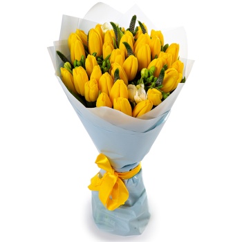 35 желтых тюльпанов с фрезией