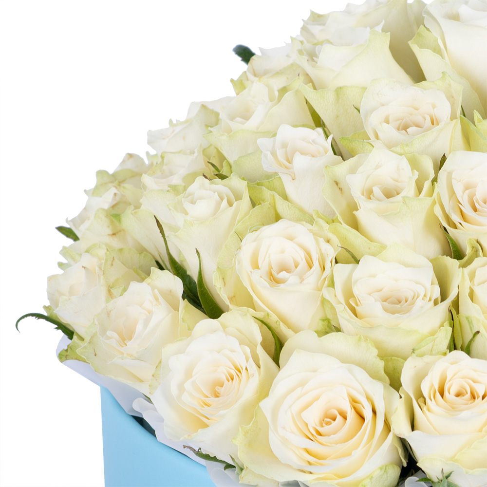 Букет из 75 белых роз в голубой шляпной коробке