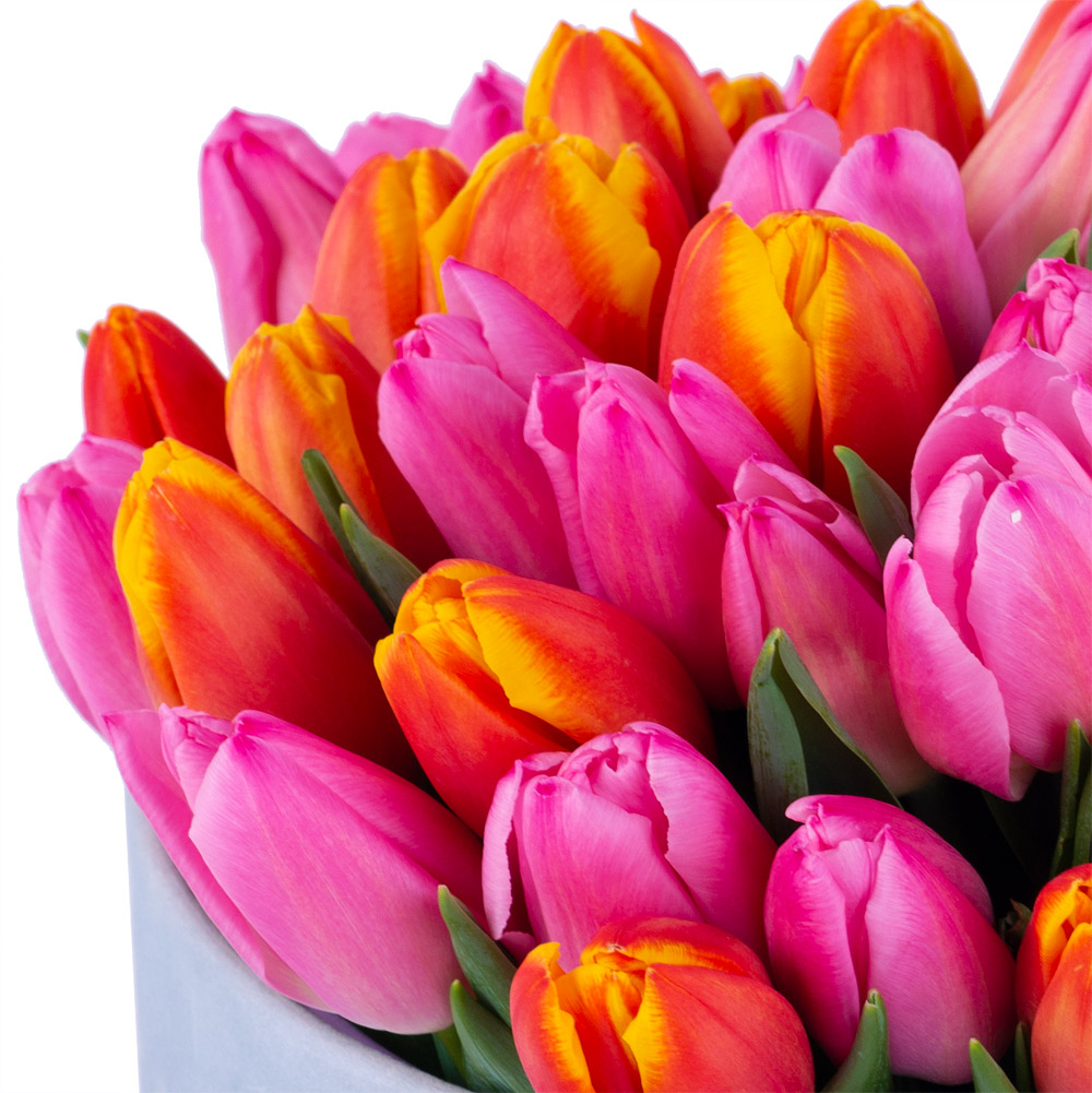 Букет микс из 51 тюльпана в серой бархатной шляпной коробке