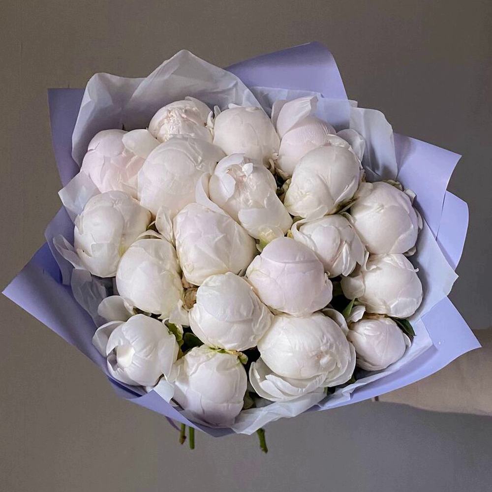 Букет из 21 белого пиона