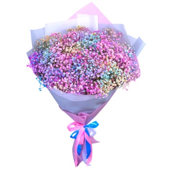 21 разноцветная гипсофила