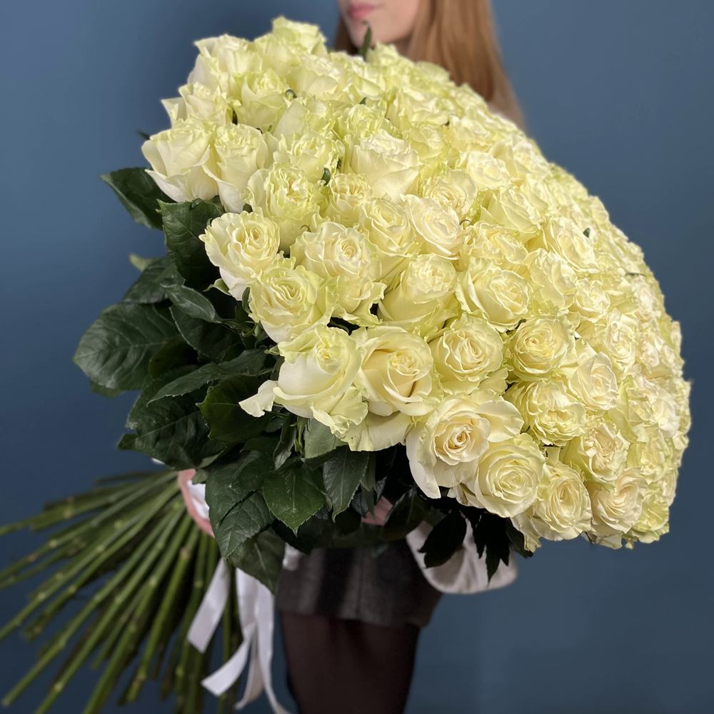 Букет из 101 белой розы Эквадор Премиум 70 см.