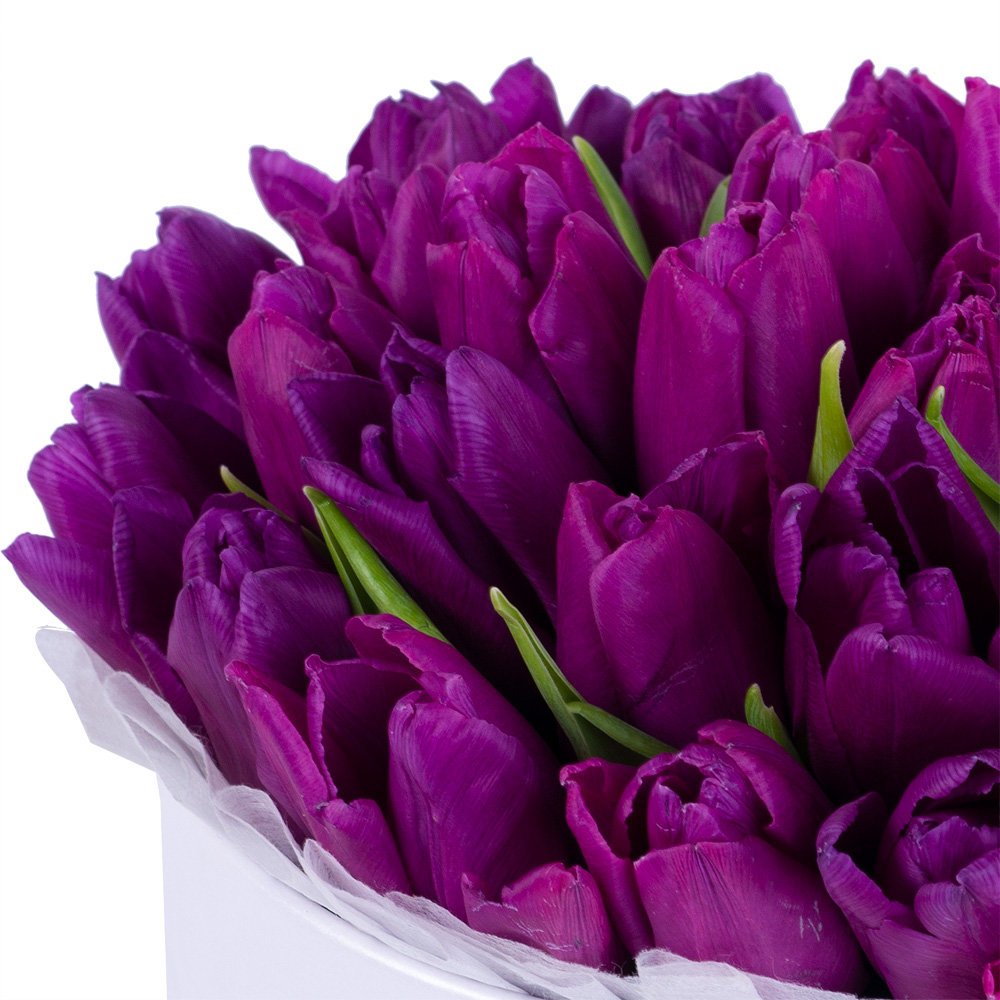 35 фиолетовых тюльпан в белой шляпной коробке