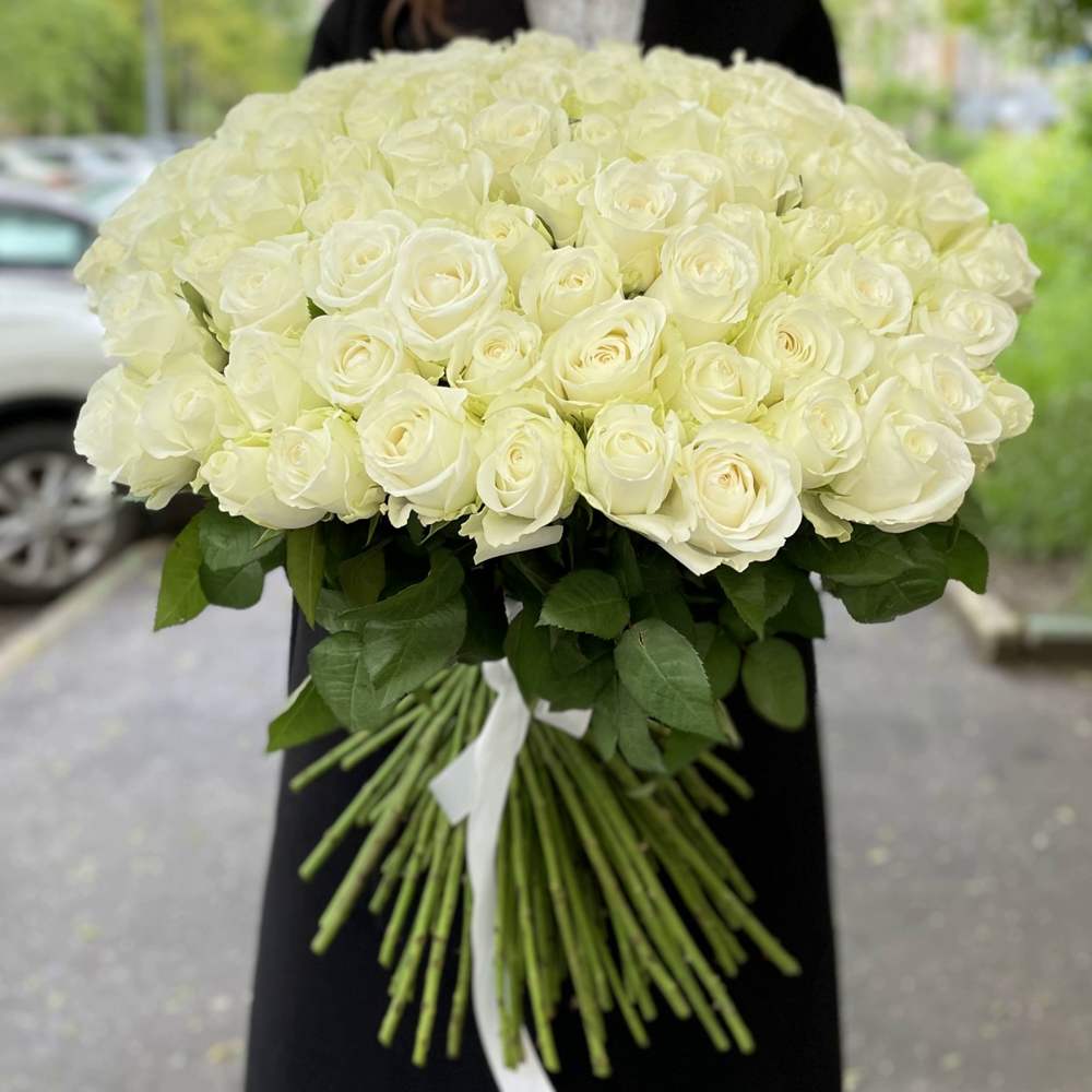 Букет из 101 белой розы Premium 60 см.