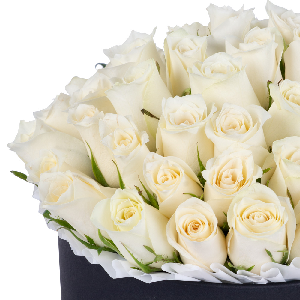 51 белая роза в черной шляпной коробке