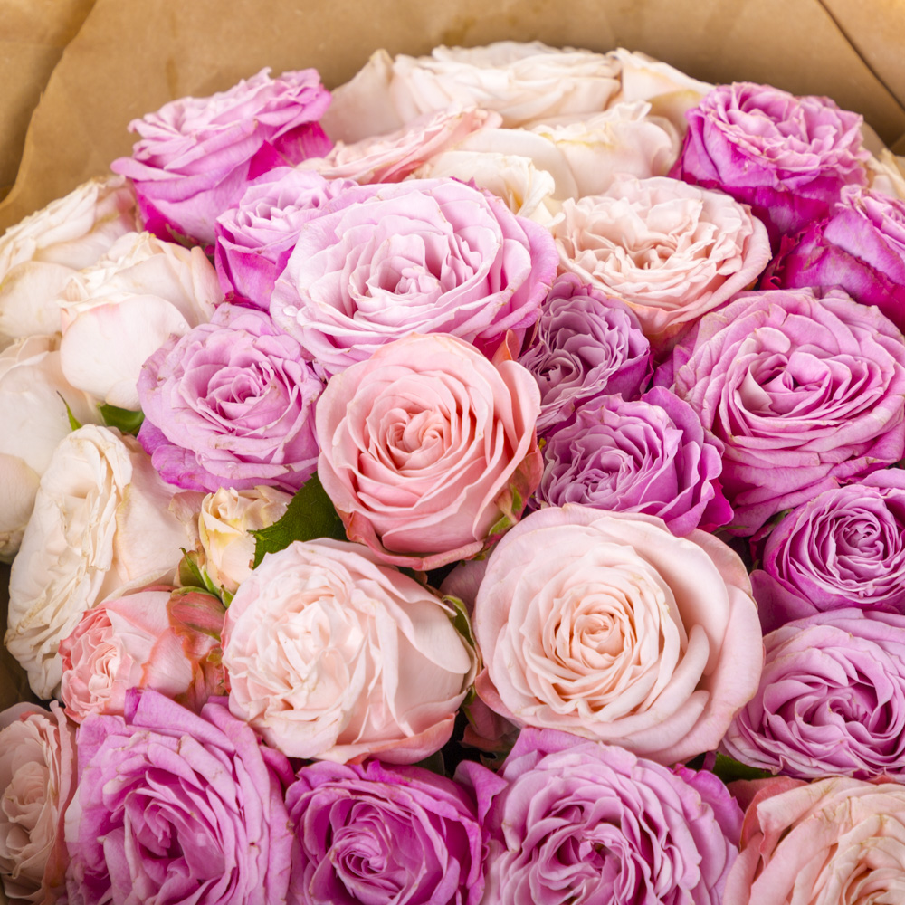 21 разноцветная кустовая роза в крафте