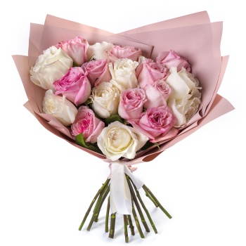 19 разноцветных роз White O'Hara