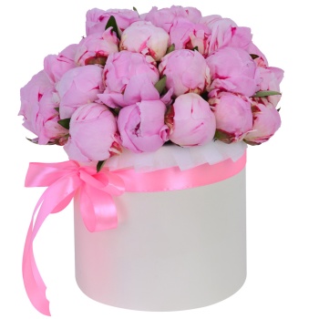 Букет из 25 розовых пионов в кремовой шляпной коробке