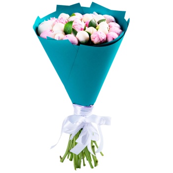 25 разноцветных пионов