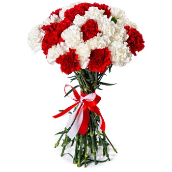 27 красно-белых гвоздик