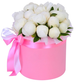 Букет из 19 белых пионов в розовой шляпной коробке