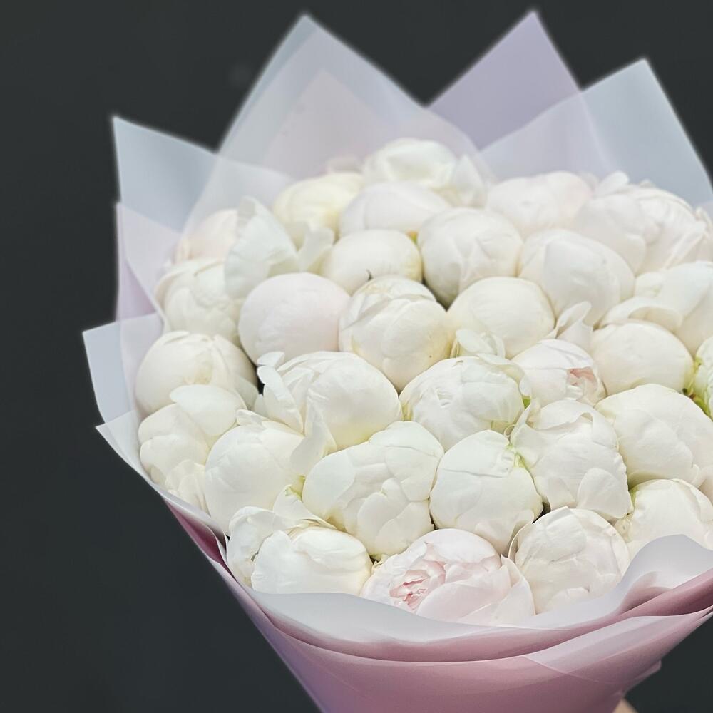 Букет из 31 белого пиона