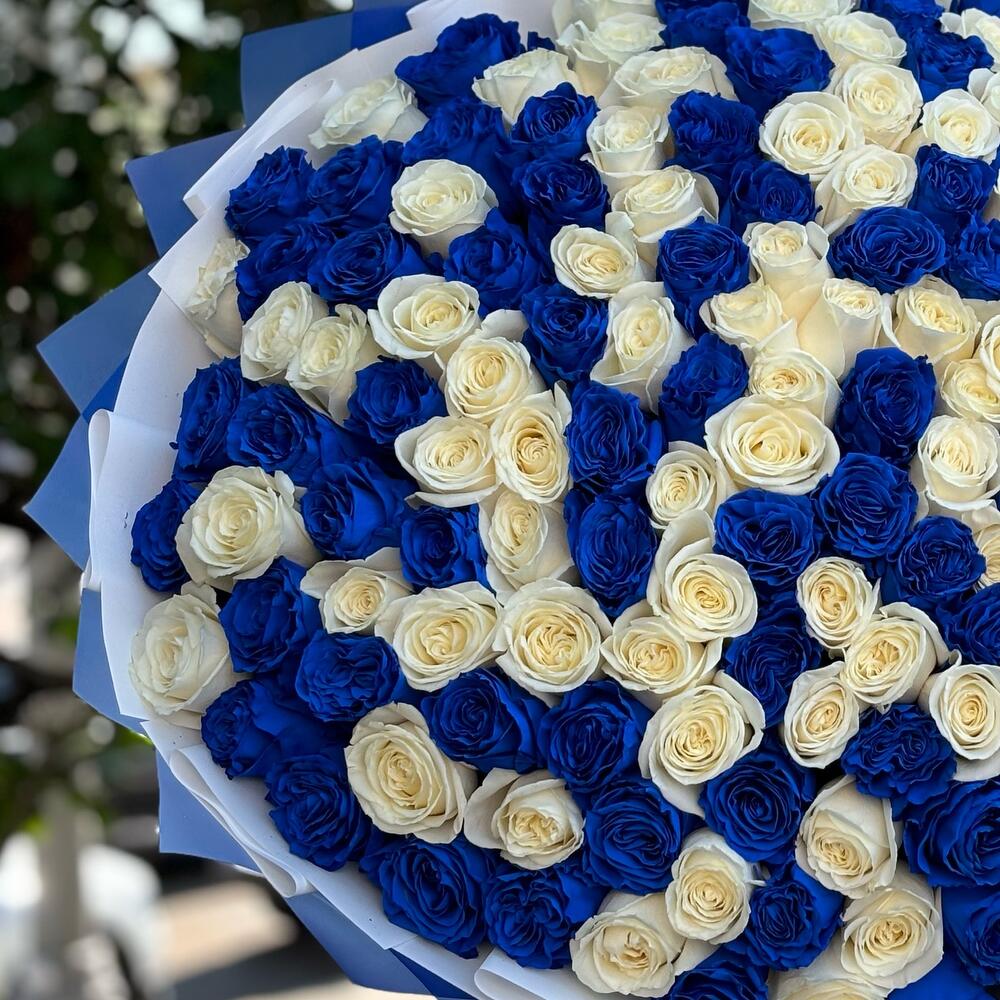 Букет из 101 синей и белой розы
