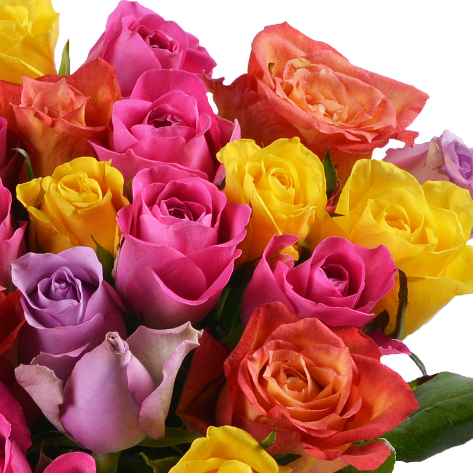 25 разноцветных роз